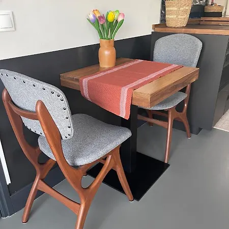 Apartment Willem De Zwijgerlaan Luxury Ark